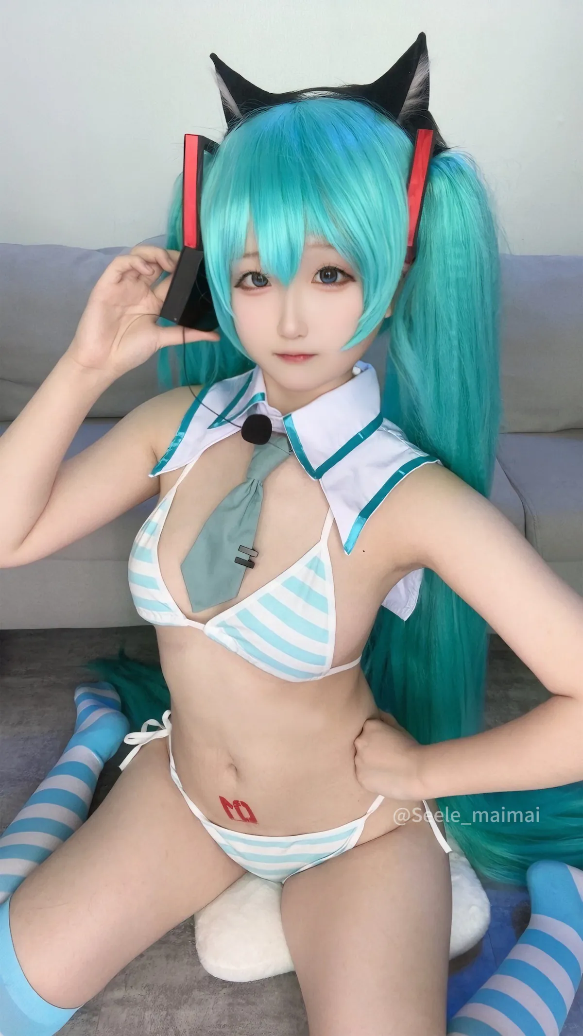 Seele麦麦 初音未来